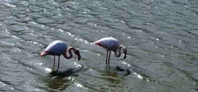 Pont de Gau - Skpad'Oc