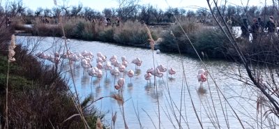 Pont de Gau - Skpad'Oc