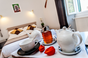 chambre-hotel-family-meyrueis-2