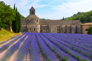 An ancient monastery Abbaye Notre-Dame de Senanque ( Abbey of Senanque). Vaucluse, France