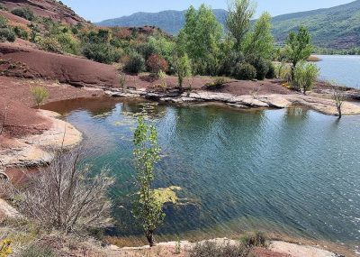 une-apres-midi-sur-la